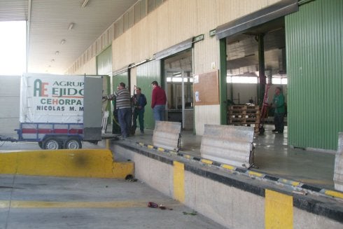 Los puestos de trabajo de AgrupaEjido