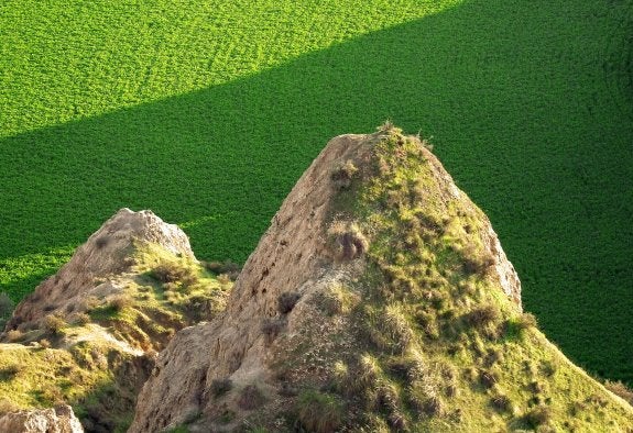 Uno de los sectores con más potencial de desarrollo es la agricultura ecológica. 