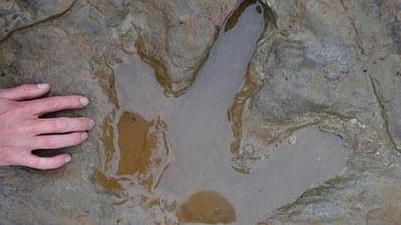 Encuentran una enorme huella de dinosaurio en una cantera de Alemania
