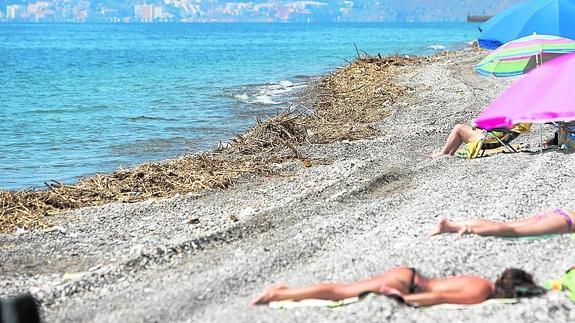 Varias personas toman el sol en una playa de Motril, a escasos metros de una orilla plagada de restos vegetales.
