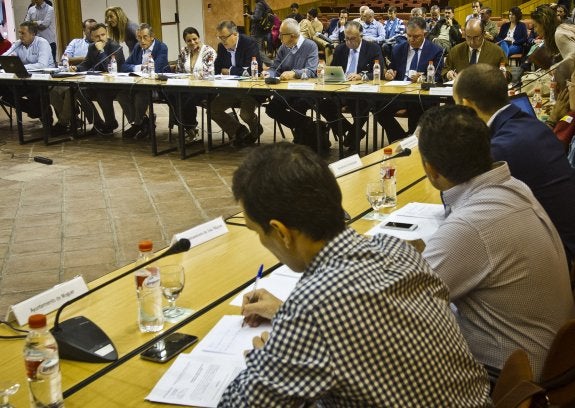 Reunión del Consejo de Participación Ciudadana del Parque, ayer en Huelva. 