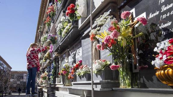 El cementerio de Granada, preparado para la gran visita anual