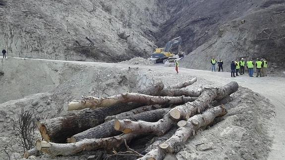 El Gobierno inicia la restauración forestal en la zona afectada por el incendio de Quesada