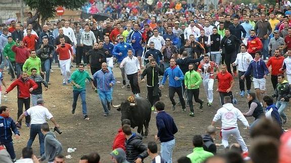 Toro de la Vega de este año.