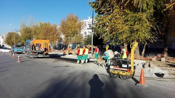 El Ayuntamiento ha destinado una brigada completa con toda la maquinaria necesaria para poner a punto el primero de los tramos.
