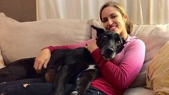 Salva de la muerte a un perro anciano y ciego para que disfrute de la Navidad