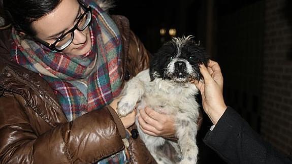 La perrita en la entrega a la protectora de Humilladero. 