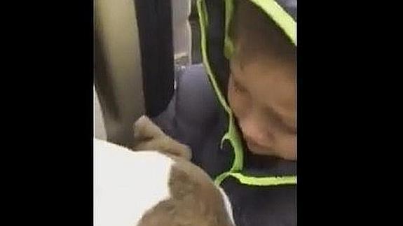El tierno reencuentro de un niño con su perro perdido desde hacía un mes