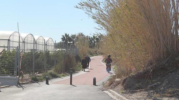 Vía verde de acceso de la UAL desde La Cañada. 