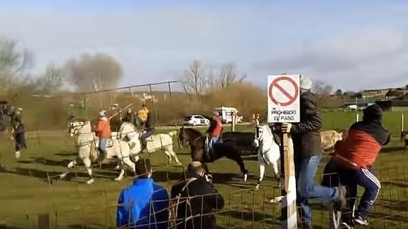 Padre e hijo, corneados en un encierro a caballo del Carnaval de Ciudad Rodrigo