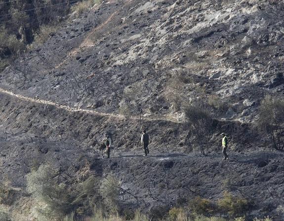 Zona arrasada por las llamas por la zona del barranco de la Chuca, en Lanjarón.