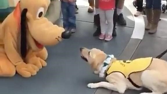 Momento del encuentro entre el perro y Pluto en Disneyland
