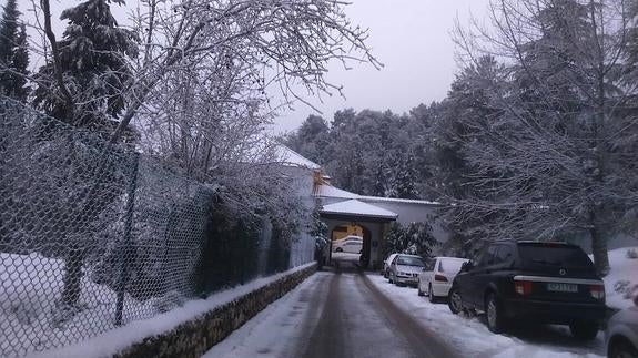 Nieve en el Puerto de Las Palomas.