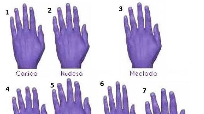 fricción cuadrado Negligencia médica Cómo es tu personalidad y tu salud según la forma de tu mano | Ideal
