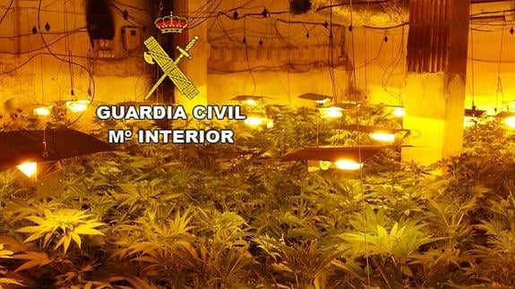 La Guardia Civil detiene a dos personas que tenían un laboratorio de cannabis en Pozo Alcón
