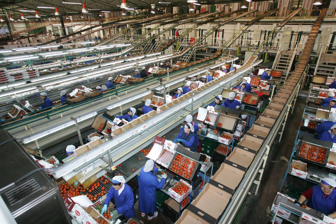 Los agricultores de Vicasol reciben un 12% más a partir de liquidaciones