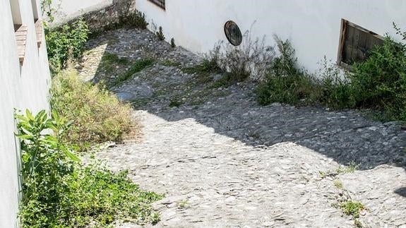 Malas hierbas en la cuesta Beteta.