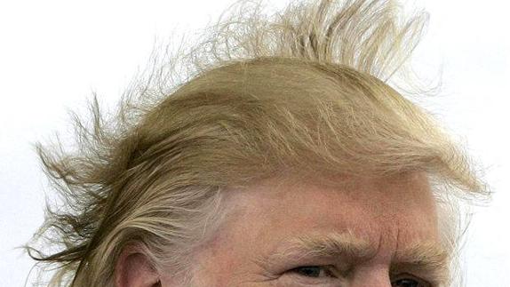 ¿Un pelo de tontos?