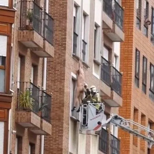 Los bomberos evitan la caída de un hombre desnudo que portaba un cuchillo