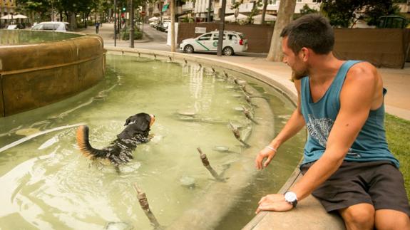 Un joven 'baña' a su perro en la Fuente de las Granadas.