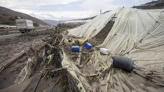 Imagen de archivo de los daños años ocasionados en los invernaderos por la tormenta caída sobre Albuñol en septiembre del año pasado. 