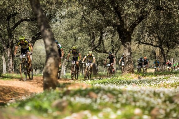 Una de las etapas de la Andalucía Bike Race por la provincia de Jaén. 