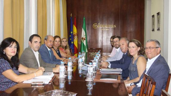 Participantes en la reunión en el Consejo andaluz de Cámaras de Comercio, en Sevilla, hace un mes.