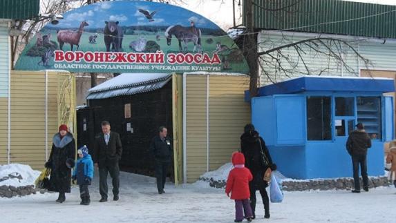 Un zoo ruso sacrifica a todas sus aves por gripe aviar