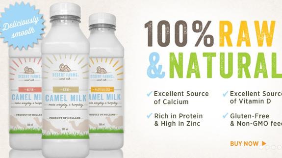 Leche de camella: el superalimento de moda que mejora tu salud