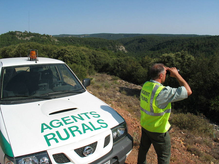 Un agente rural vigila un área forestal en Tarragona con ayuda de unos prismáticos.