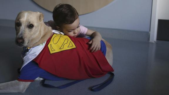 Perros en residencias de mayores y hospitales de Madrid para ayudar en las terapias