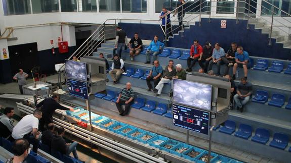 La subasta de las maravillas