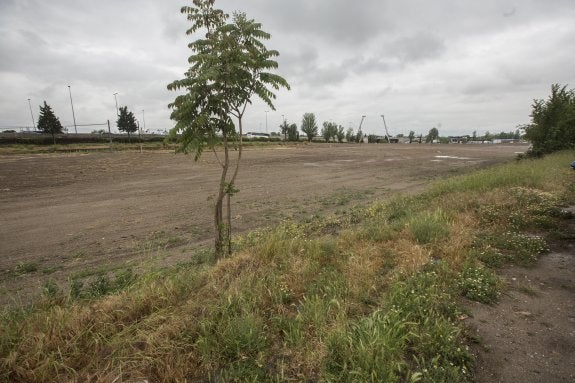 Terrenos del Camino de las Vacas en los que se celebrará el festival.