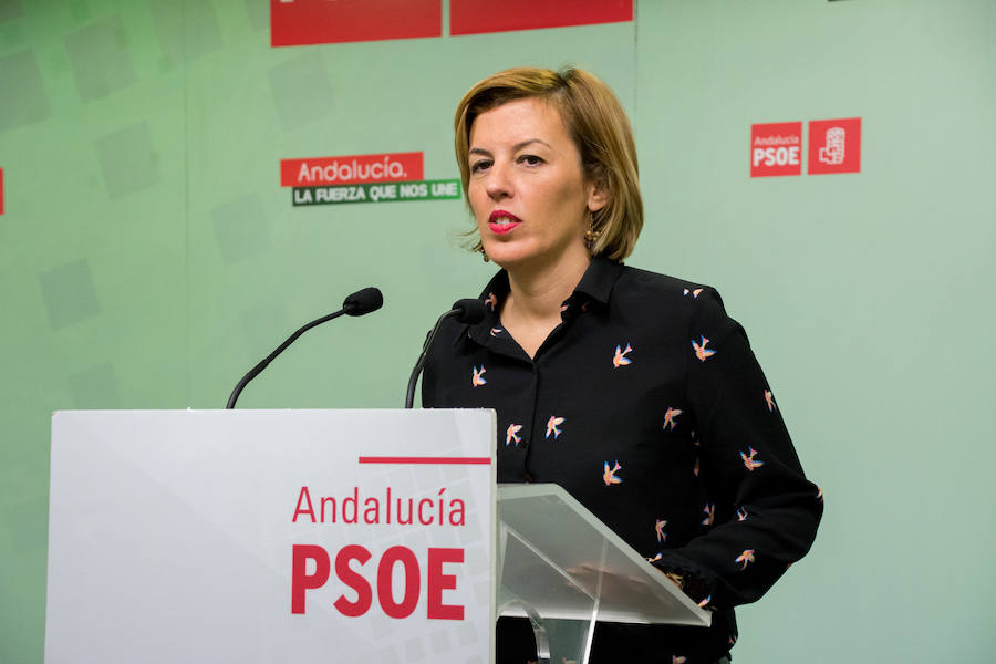 El PSOE ve una "mala noticia" que el Gobierno "se empeñe en licitar un AVE de segunda" para Almería