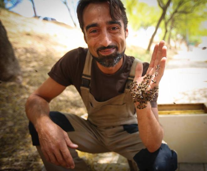 Jorge Guerrero retira con sus propias manos las abejas.