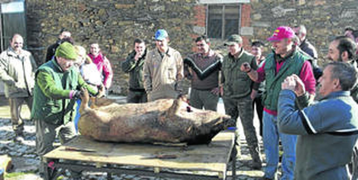 Endrinal celebra su primera matanza tradicional