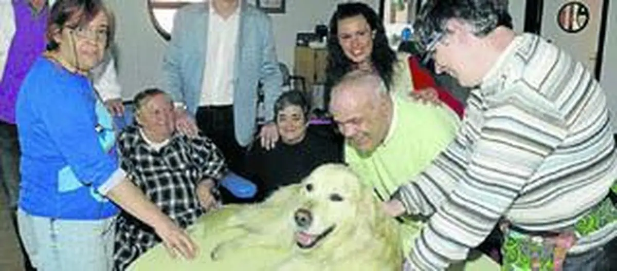 Un perro adiestrado ayuda a los discapacitados psíquicos del CAMP