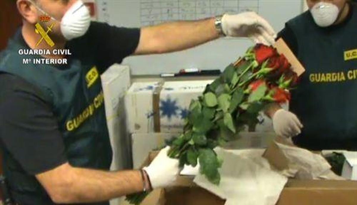 Interceptan 15 kilos de cocaína entre el embalaje de un envío de rosas