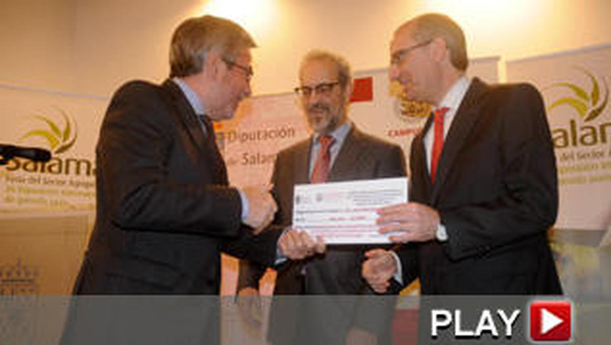 Diputación y Universidad fallan sus premios a la transferencia del conocimiento