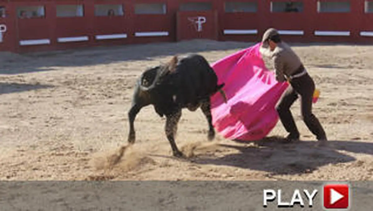 Los toros, desde la barrera | La Gaceta de Salamanca