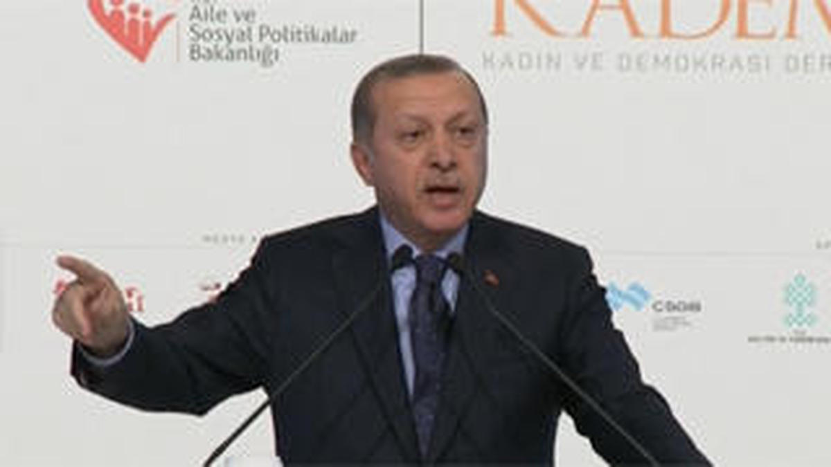 Erdogan pide a las organizaciones internacionales que sancionen a Países Bajos