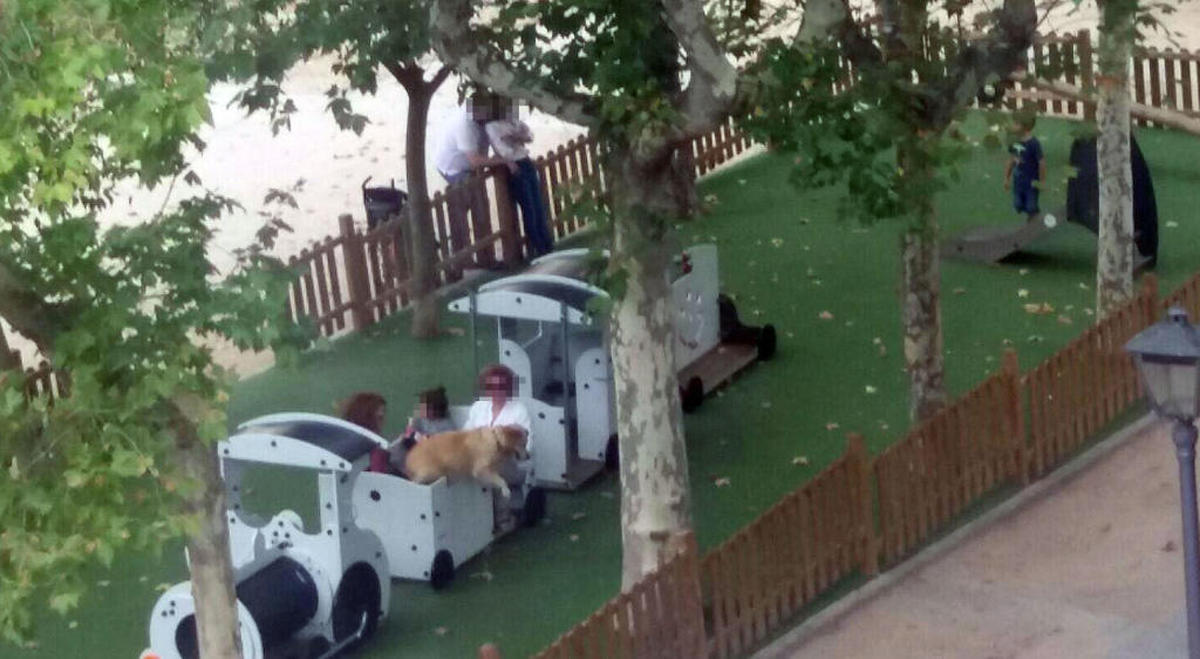 Quejas vecinales por la presencia de perros en el parque infantil de la plaza de Colón