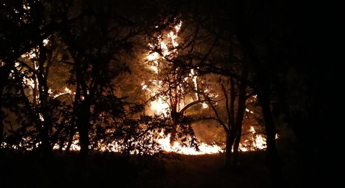 Primer detenido por los incendios de Galicia