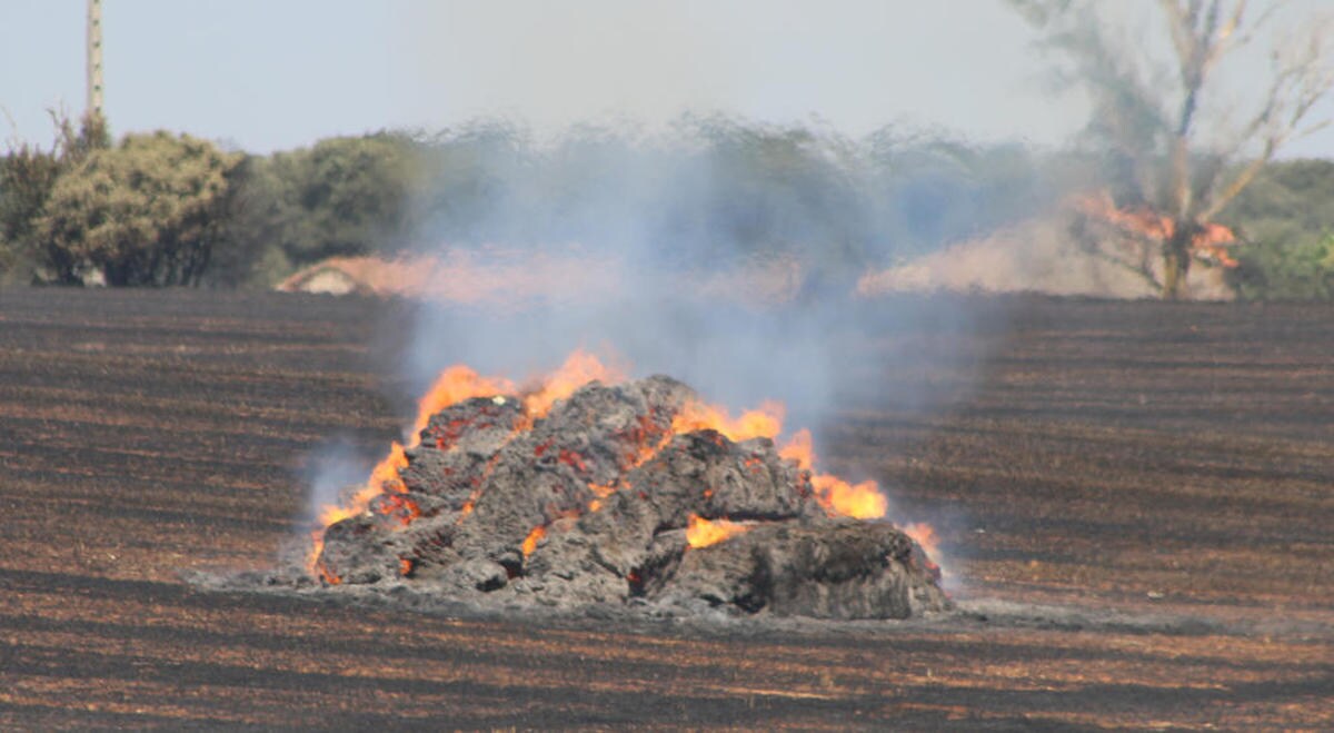 Un incendio en Carrascal de Barregas, al parecer provocado, arrasa medio centenar de pacas