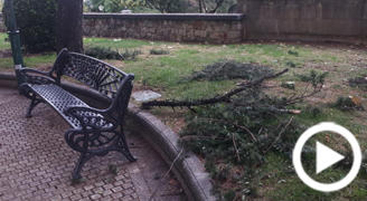 El Huracán Leslie causa destrozos en el parque San Francisco