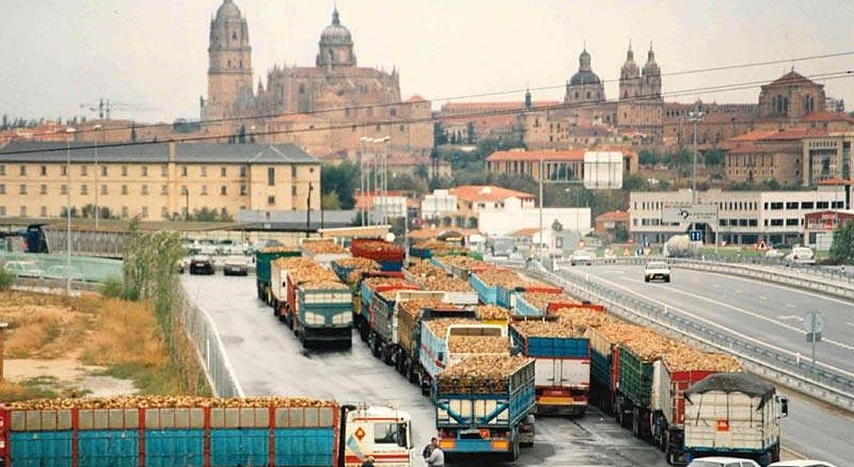 Cuando la carretera de Madrid se llenaba de camiones repletos de remolacha