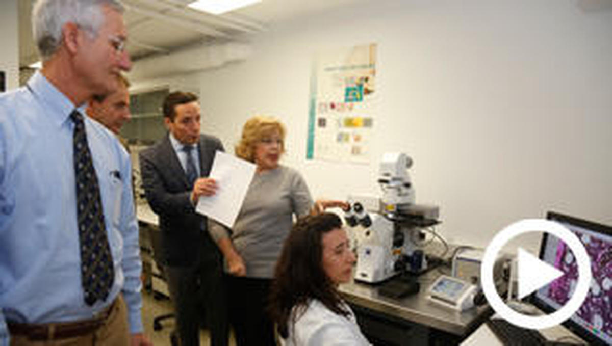 Un nuevo microscopio de la Universidad permitirá diseñar fármacos y terapias individualizadas para pacientes con cáncer