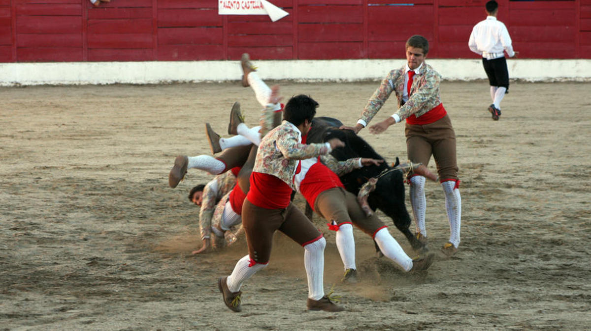 Varios heridos en un espectáculo taurino en Ledesma