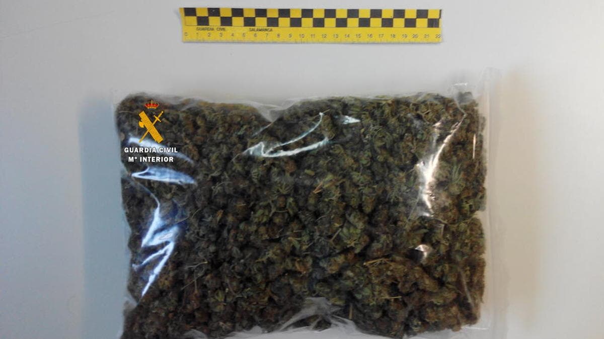 Detenido en Calvarrasa de Abajo con 250 gramos de marihuana