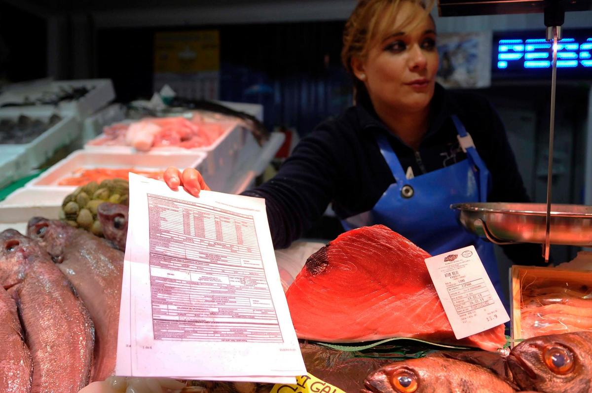 Una suculenta pieza de atún rojo acompañada de su etiqueta y exhaustiva documentación.